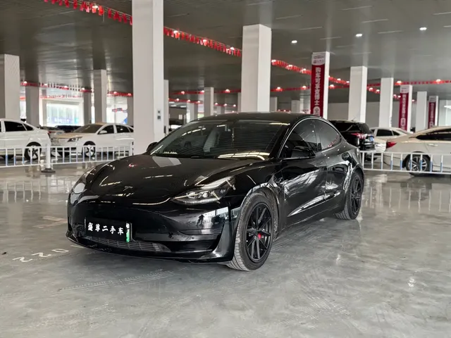 Tesla Model 3 2021 Standard Range Rear-Wheel Drive Upgrade