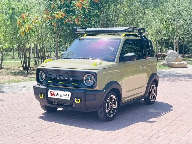 Geely Galaxy Panda 2025 Model Year 210km Panda Knight