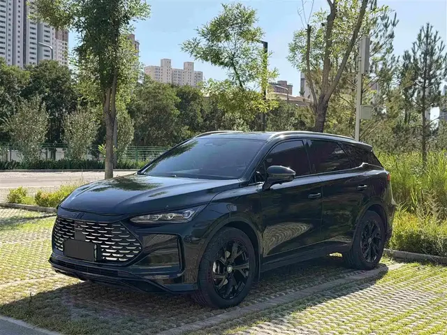 BYD Tang New Energy 2025 DM-i 115KM Prestige Type