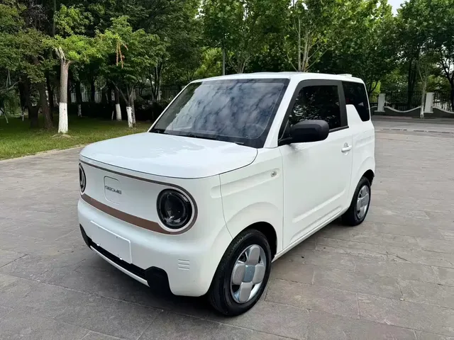 Geely Galaxy Panda 2023 Panda Mini New Year Edition - Treasure Bear