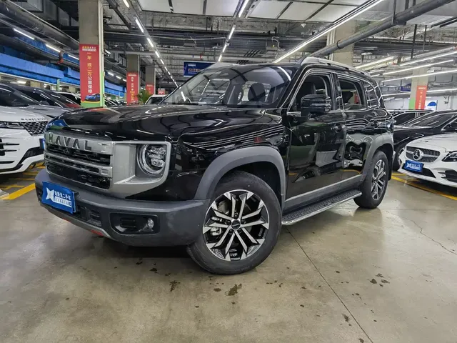 Haval Big Dog 2024 2.0T DCT Chinese Rural Dog Edition