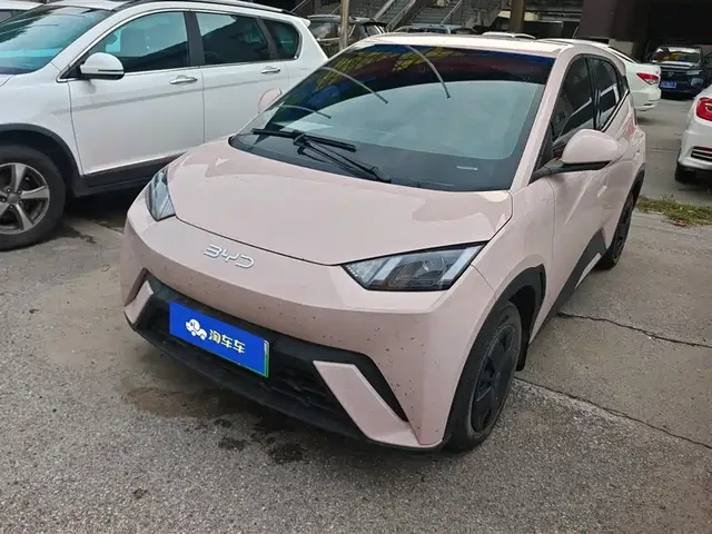 BYD Seagull 2024 Glory Edition 305km Vitality Edition