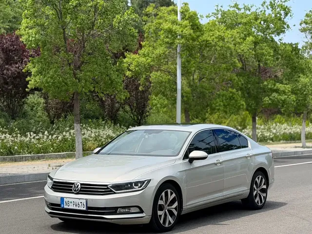 Volkswagen Magotan 2019 330TSI DSG Luxury Class China VI