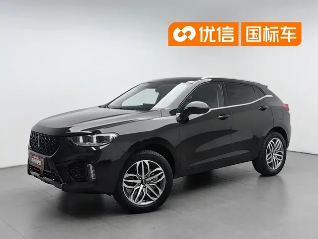 WEY VV5 2019 Upgrade 2.0T 2WD Ultra Luxury China V