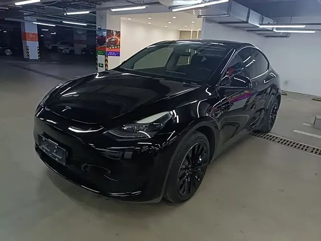 Tesla Model Y 2022 Rear-Wheel Drive Version