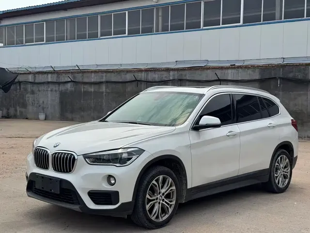 BMW X1 2018 sDrive20Li Leading Model