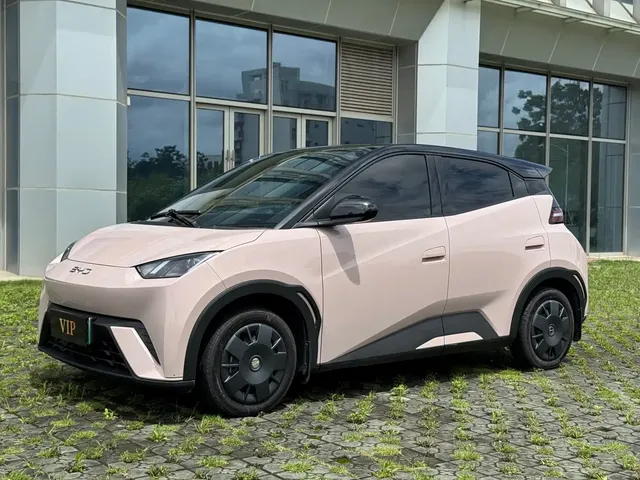 BYD Seagull 2024 Glory Edition 305km Vitality Edition