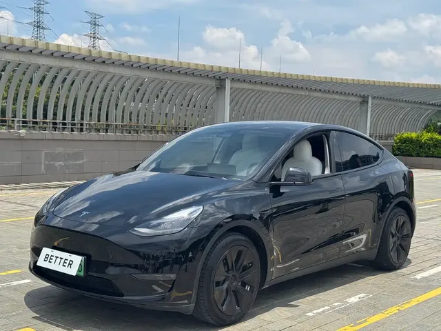 Tesla Model Y 2021 Standard Range Rear-Wheel Drive