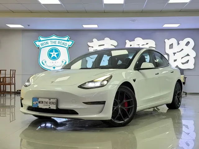 Tesla Model 3 2021 Performance High-Performance All-Wheel Drive