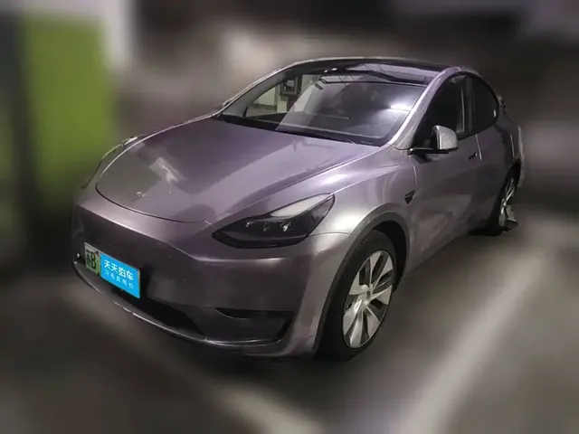 Tesla Model Y 2021 Standard Range Rear-Wheel Drive
