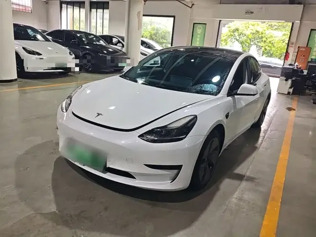 Tesla Model 3 2022 Model Rear-Wheel Drive Version