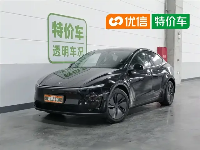 Tesla Model Y 2025 Long Range All-Wheel Drive