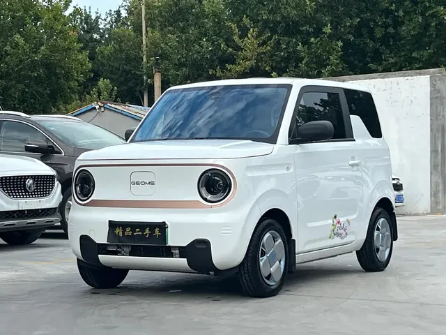 Geely Galaxy Panda 2024 Panda mini 200km Endurance Bear
