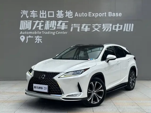 Lexus RX 2020 300 4WD Elegance Edition China VI