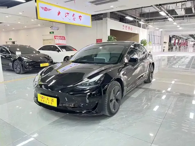 Tesla Model 3 2022 Model Rear-Wheel Drive Version