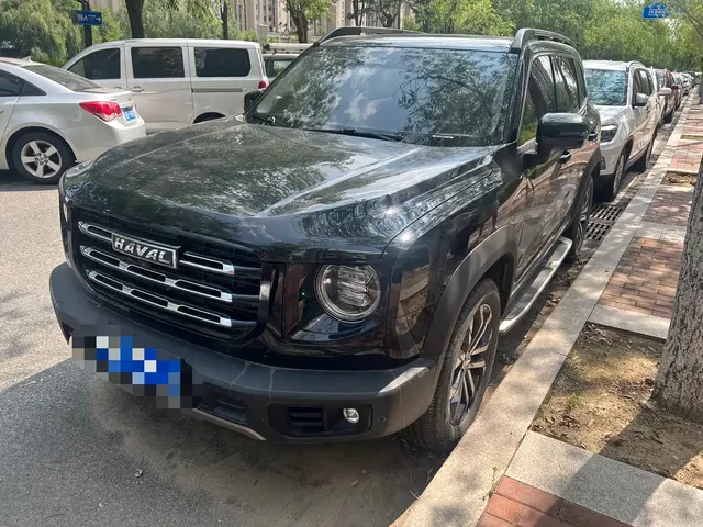 Haval Big Dog 2024 1.5T DCT Border Collie Edition