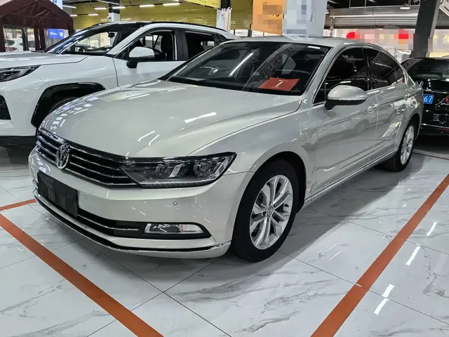 Volkswagen Magotan 2019 330TSI DSG Luxury Class China VI