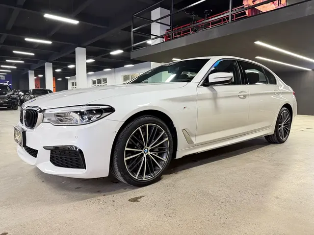 BMW 5 Series 2020 530Li Leading M Sport Package