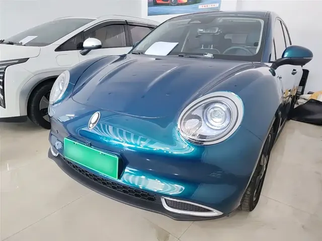 Ora Good Cat 2024 401km Luxury