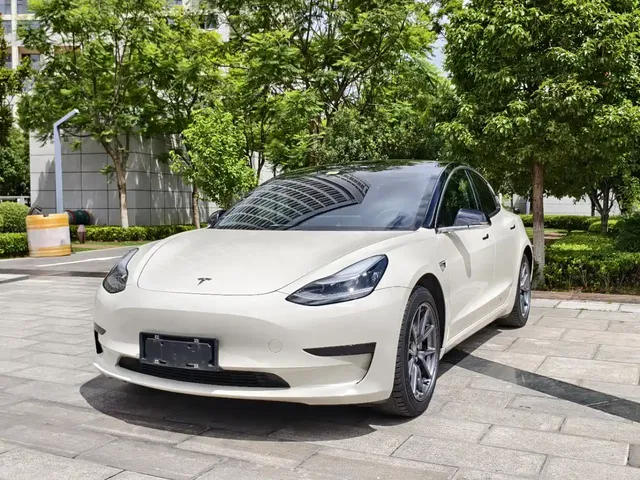 Tesla Model 3 2020 Standard Range Rear-Wheel Drive Upgrade