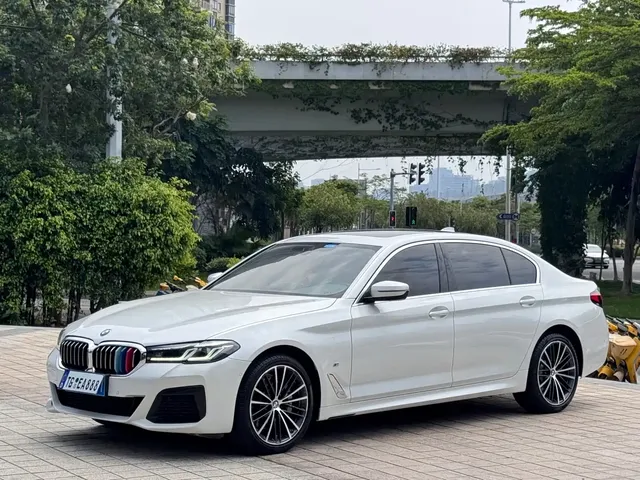 BMW 5 Series 2022 530Li Leading Luxury Package