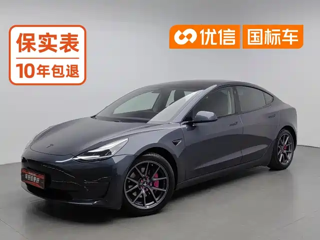 Tesla Model 3 (Import) 2019 Long Range RWD Version