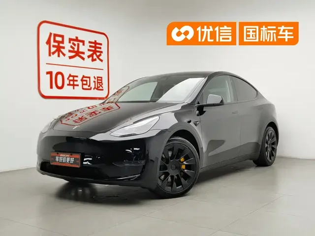 Tesla Model Y 2021 Standard Range Rear-Wheel Drive