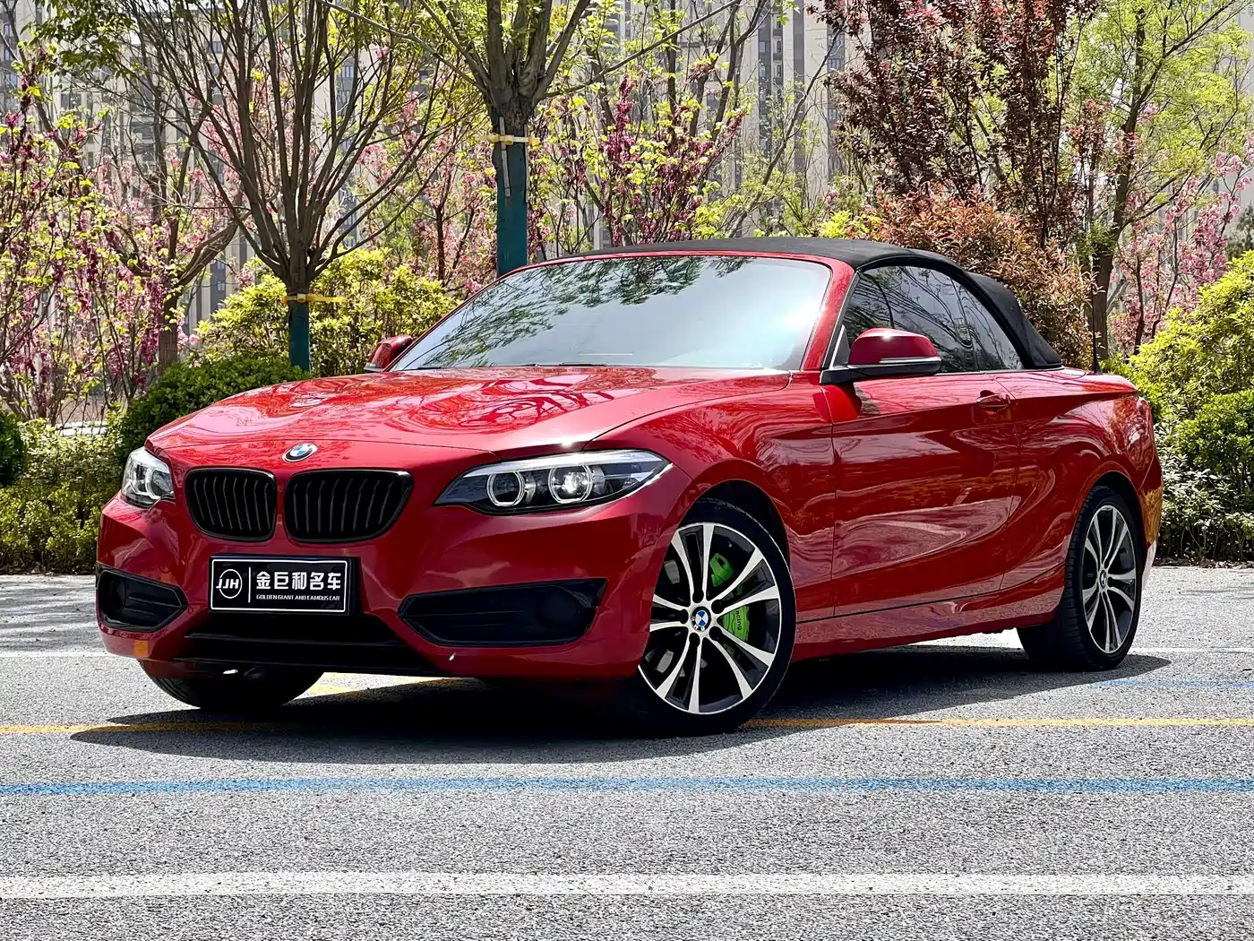 BMW 2 Series (Import) 2019 225i Convertible Coupe Sport Design Package