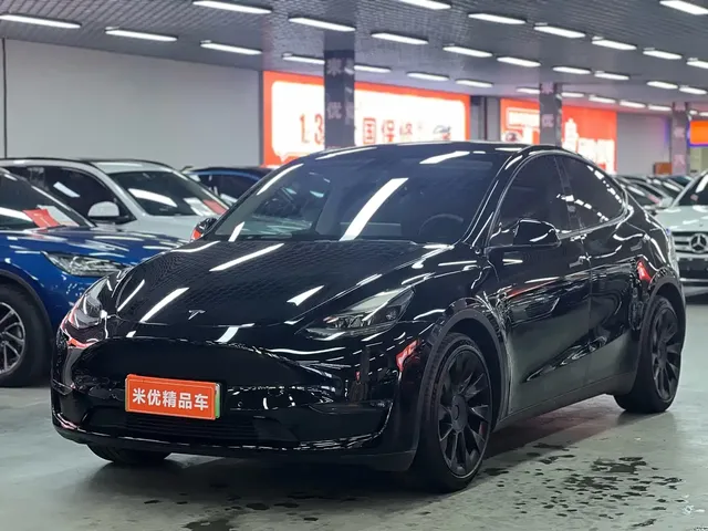 Tesla Model Y 2021 Standard Range Rear-Wheel Drive