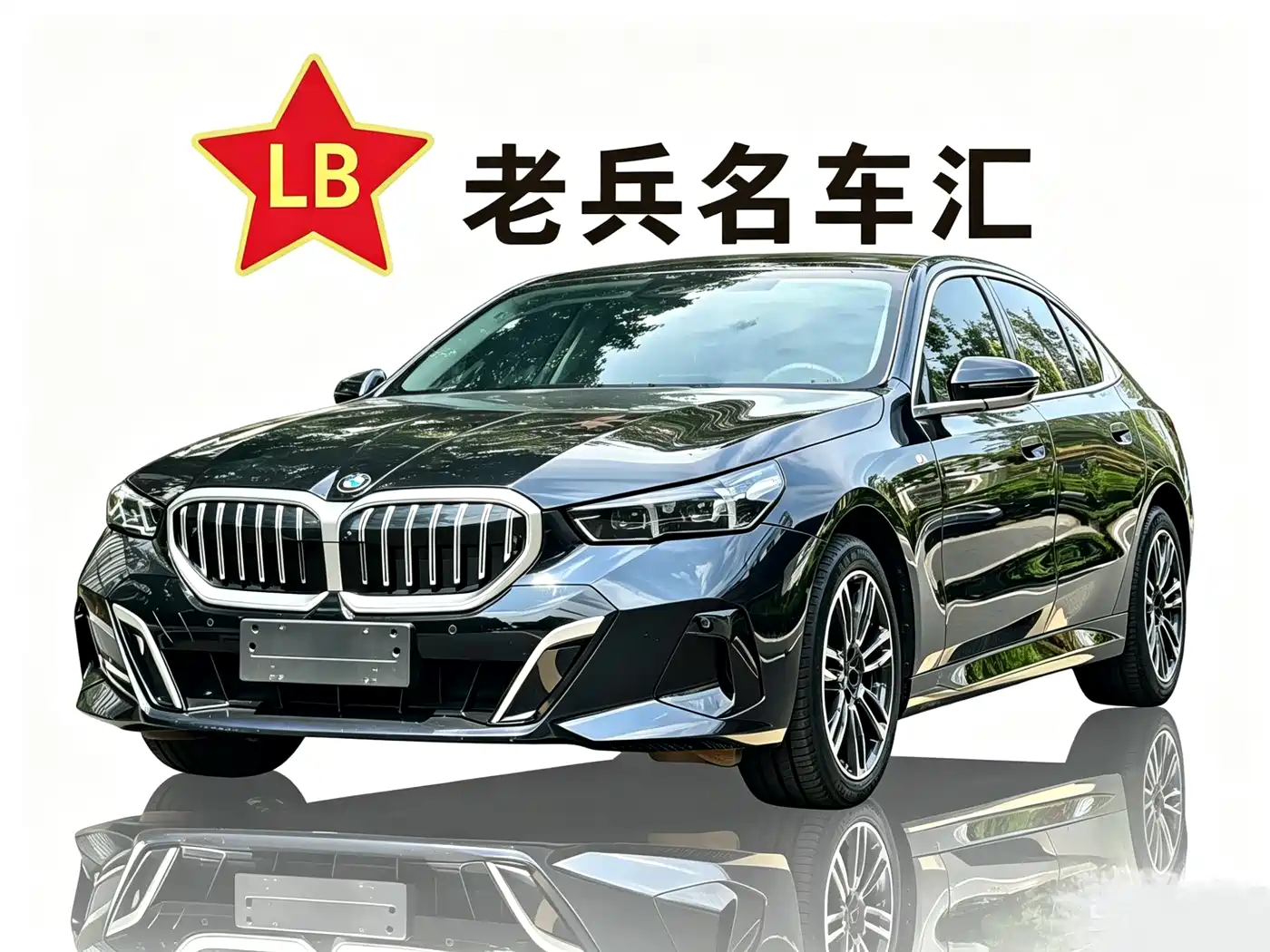 BMW 5 Series 2025 530Li Leading M Sport Package