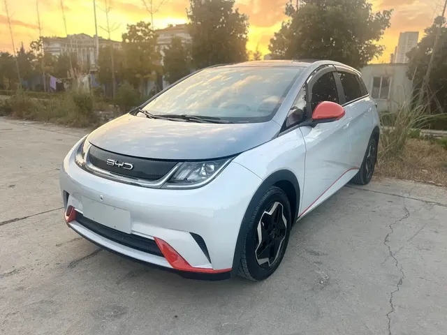 BYD Dolphin 2021 Model 405km Fashion Edition
