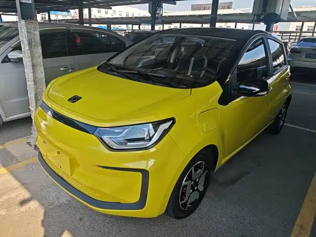 Sehol Flower Fairy 2021 302km Luxury Edition 31.4kWh
