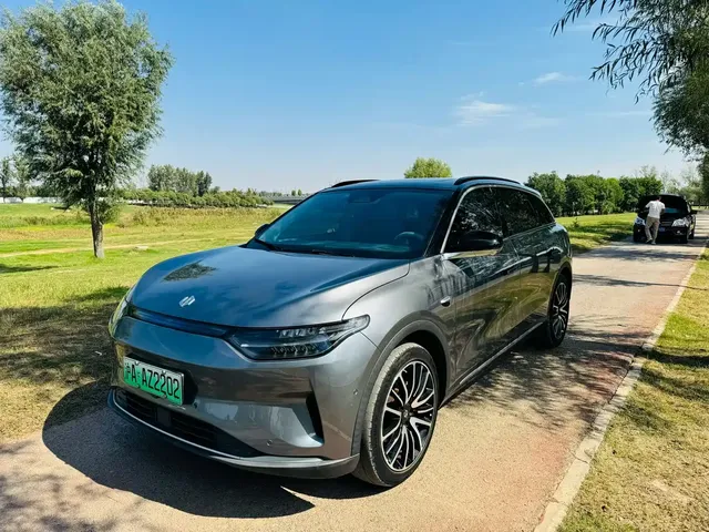Leapmotor C11 2021 Executive Edition 610