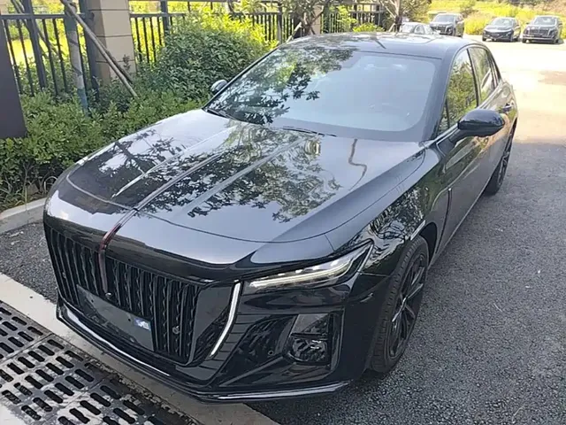 Hongqi H5 2025 2.0T Automatic Mystic Shadow