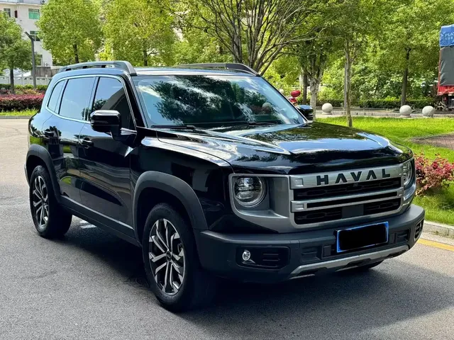 Haval Big Dog 2024 1.5T DCT Border Collie Edition
