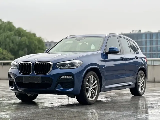 BMW X3 2018 xDrive25i M Sport Package China V