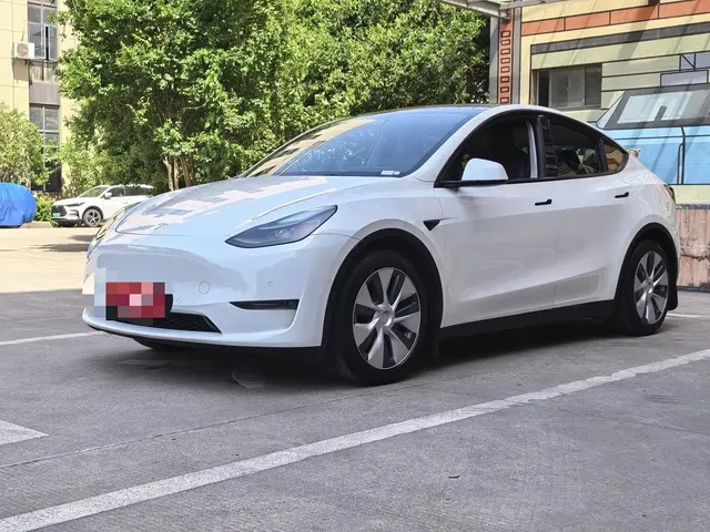 Tesla Model Y 2021 Standard Range Rear-Wheel Drive