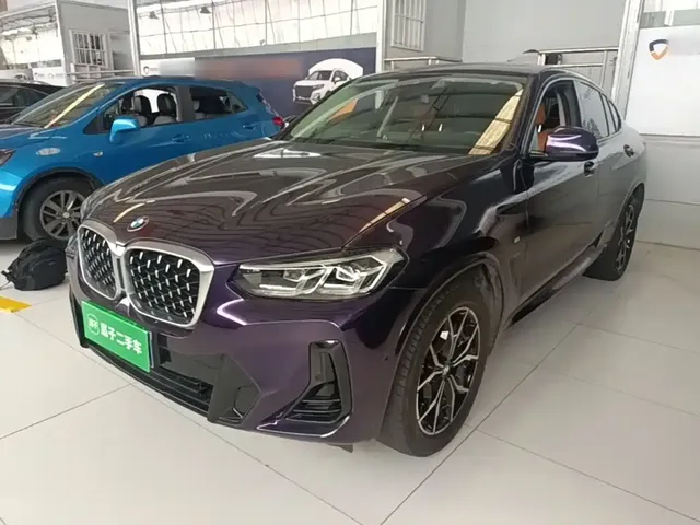BMW X4 2022 xDrive 25i M Sport Package