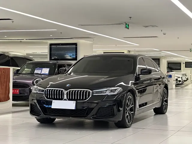BMW 5 Series 2020 530Li Premium Luxury Package