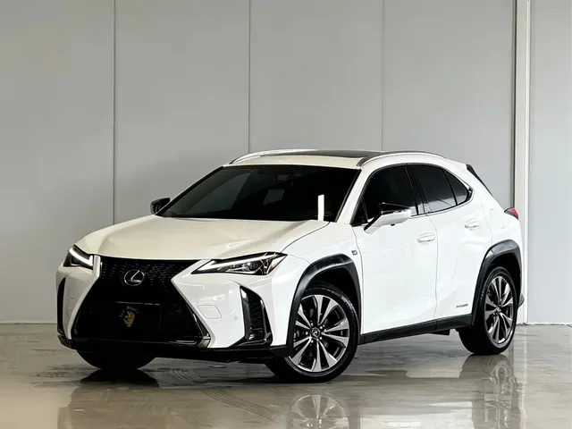 Lexus UX 2019 260h F SPORT Edition (China V)