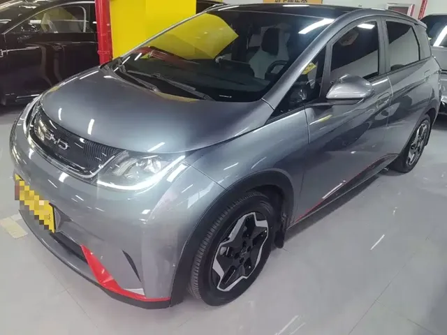 BYD Dolphin 2021 Model 405km Fashion Edition