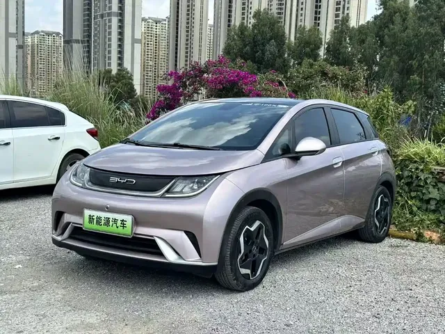 BYD Dolphin 2021 Model 405km Fashion Edition