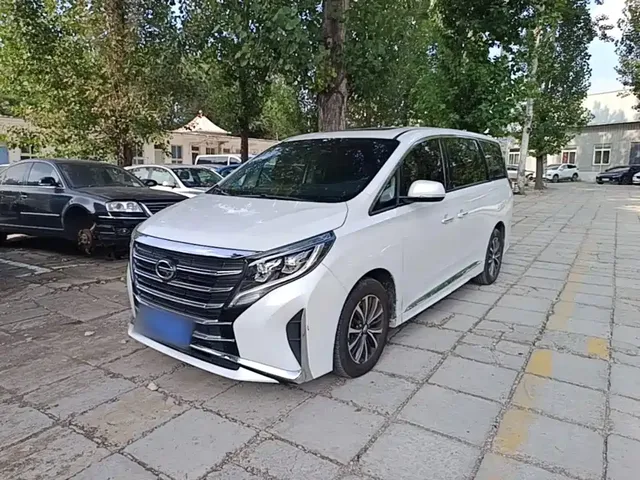 GAC Trumpchi M8 2023 Leading Series 390T Premium Edition