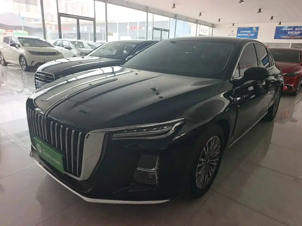 Hongqi H5 2024 2.0T Automatic Smart Connect Flag Enjoy Edition