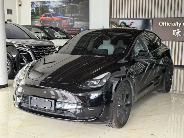Tesla Model Y 2022 Rear-Wheel Drive Version