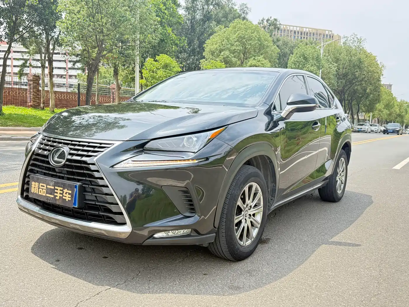 Lexus NX 2020 200 FWD Fengyi Edition China VI