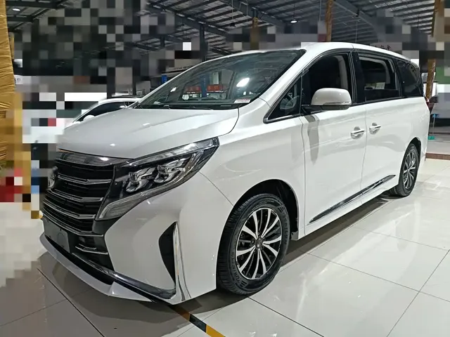 GAC Trumpchi M8 2021 Leading Show Series 390T Premium Edition