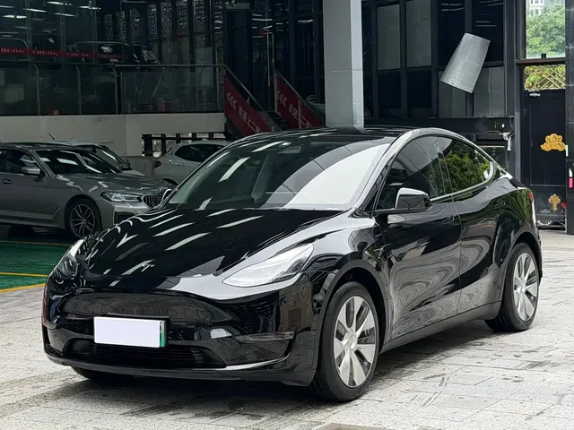 Tesla Model Y 2021 Standard Range Rear-Wheel Drive