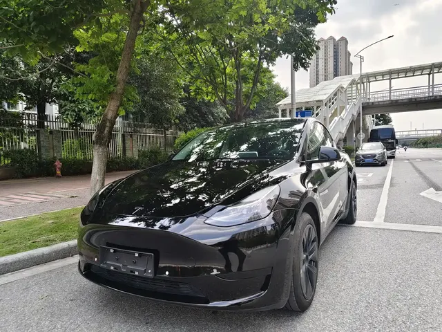 Tesla Model Y 2024 Rear-Wheel Drive Version