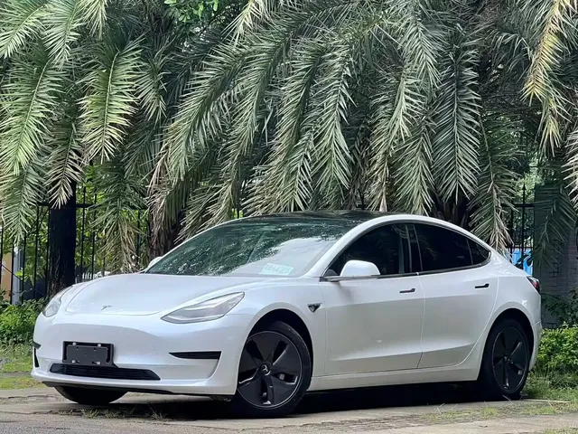 Tesla Model 3 (Import) 2019 Standard Range RWD Upgraded Edition